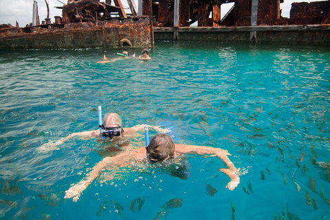 Moreton Island Snorkel And Sandboarding 4WD Day Trip From Brisbane - Restaurant Darwin 0