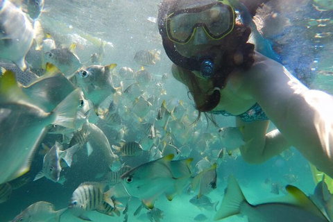 Moreton Island Snorkel And Sandboarding 4WD Day Trip From Brisbane - Restaurant Darwin 3