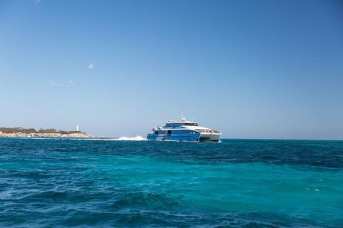 Fremantle To Rottnest Island Roundtrip Ferry Ticket - Restaurant Darwin 5