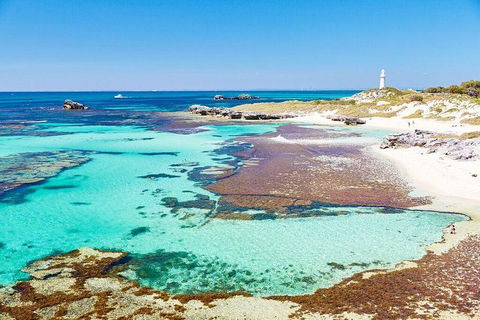 Rottnest Island Bike & Ferry Package From Fremantle - Restaurant Darwin 5
