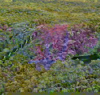 Litchfield Park  Daly River - Scenic Flight From Darwin - Restaurant Darwin