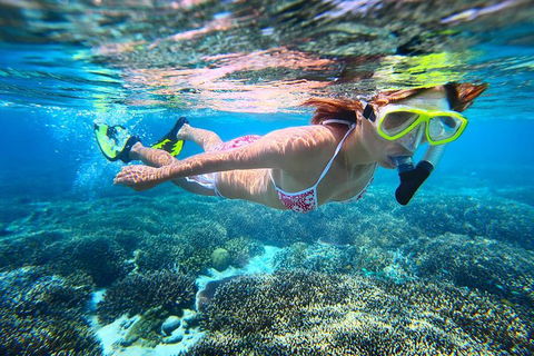 Abrolhos Islands Scenic Flight & Snorkel Adventure From Perth - Restaurant Darwin 1