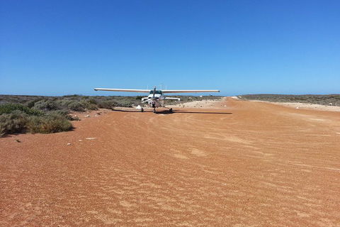 Abrolhos Islands Scenic Flight & Snorkel Adventure From Perth - Restaurant Darwin 3