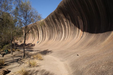Wave Rock Half Day Air & Ground Tour - Restaurant Darwin 5