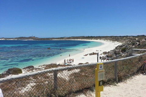 Wave Rock, Pinnacles And Rottnest One Day Aeroplane Tour - Restaurant Darwin 2