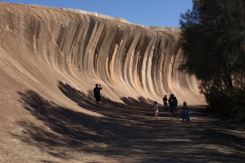 Wave Rock, Pinnacles And Rottnest One Day Aeroplane Tour - Restaurant Darwin 4