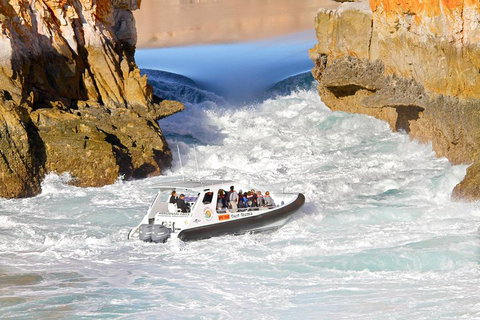Horizontal Falls Half-Day Tour From Broome - Restaurant Darwin 1