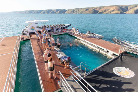 Horizontal Falls Half-Day Tour From Broome - Restaurant Darwin 3