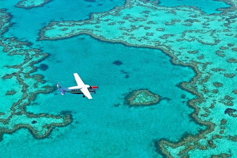 Fly & Sail Package (With Providence) - Restaurant Darwin 4