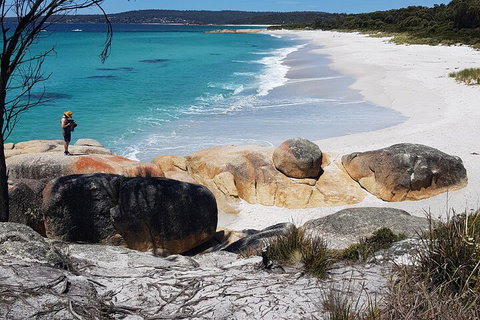 2-Day Tas East Coast Escape Tour Including Bay Of Fires, Wineglass Bay & Devils - Restaurant Darwin 4