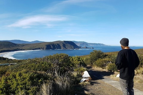 4-Day Fabulous Tasmania Tour: Wineglass Bay, Port Arthur, Devils & Bruny Island - Restaurant Darwin 0