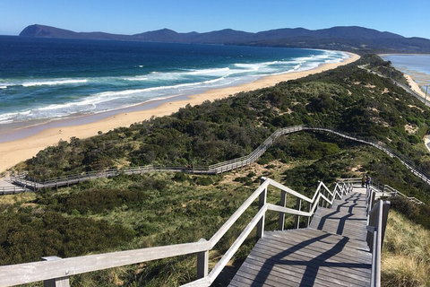 4-Day Fabulous Tasmania Tour: Wineglass Bay, Port Arthur, Devils & Bruny Island - Restaurant Darwin 5