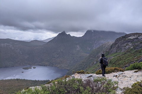 5-Day Best Of Tasmania Tour From Hobart - Restaurant Darwin 3