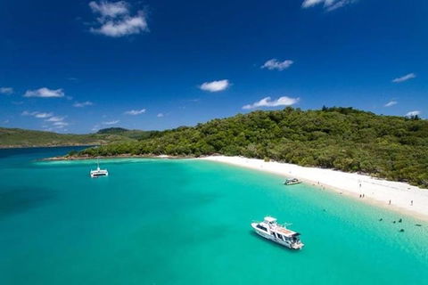 Whitehaven Beach And Hill Inlet | Awesome Beach BBQ | Family Friendly - Restaurant Darwin 3