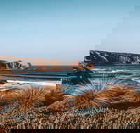 Small Group - Phillip Island Hike  Penguin Parade Day Tour from Melbourne - Restaurant Darwin