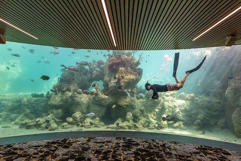 Whitehaven Beach And Daydream Island Cruise - Restaurant Darwin 4