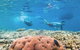 Great Barrier Reef Day Cruise To Reefworld - thumb 1