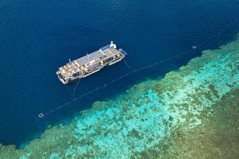 Great Barrier Reef Day Cruise To Reefworld - Restaurant Darwin 2