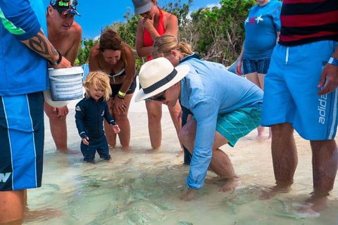 Whitehaven Beach And Hamilton Island Cruise - Restaurant Darwin 1