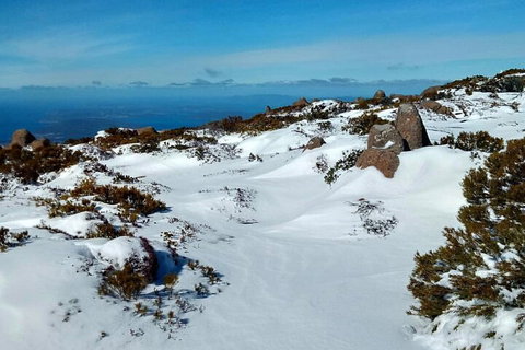 Mount Wellington Ultimate Experience Tour From Hobart - Restaurant Darwin 1