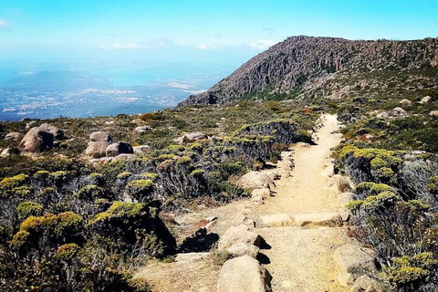 Mount Wellington Ultimate Experience Tour From Hobart - Restaurant Darwin 5