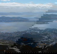 Mt Wellington Tour and MONA Admission - Restaurant Darwin