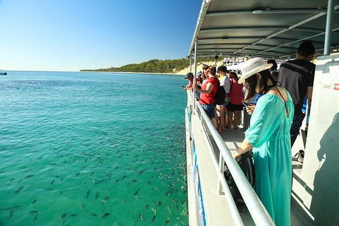 Adventure Moreton Island Wrecks Adventure Package - Restaurant Darwin 1