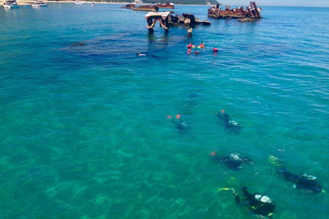 Adventure Moreton Island Scuba Dive Tour - Restaurant Darwin 0