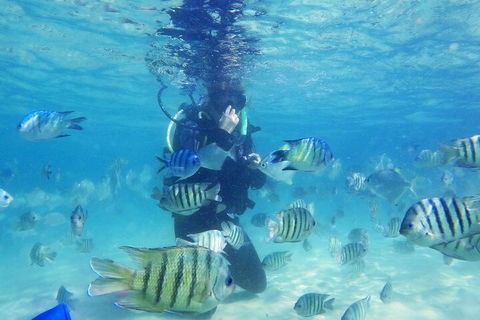 Adventure Moreton Island Scuba Dive Tour - Restaurant Darwin 1