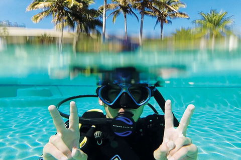 Adventure Moreton Island Scuba Dive Tour - Restaurant Darwin 2
