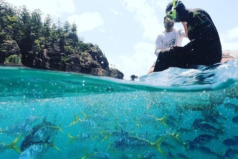 2 Night Small Group Whitsundays Sailing Adventure Aboard Mandrake - Restaurant Darwin 5
