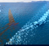 2-Night Whitsunday Islands Sailing Adventure on Trimaran Avatar - Restaurant Darwin