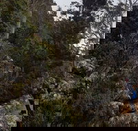 kunanyi / Mt. Wellington Guided Hiking Tour - Restaurant Darwin