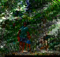Full Day Daintree Rainforest and Mossman Gorge Tour - Restaurant Darwin