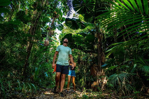 Full Day Daintree Rainforest And Mossman Gorge Tour - Restaurant Darwin 0