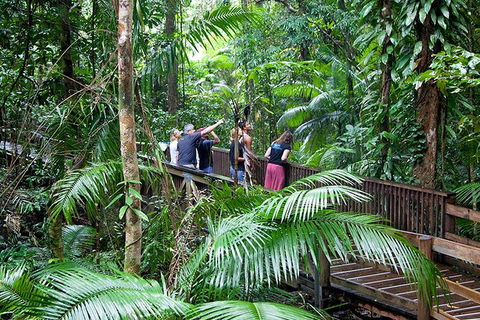 Full Day Daintree Rainforest And Mossman Gorge Tour - Restaurant Darwin 1