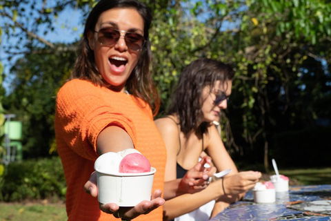 Full Day Daintree Rainforest And Mossman Gorge Tour - Restaurant Darwin 3