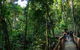 Full Day Daintree Rainforest And Mossman Gorge Tour - thumb 5