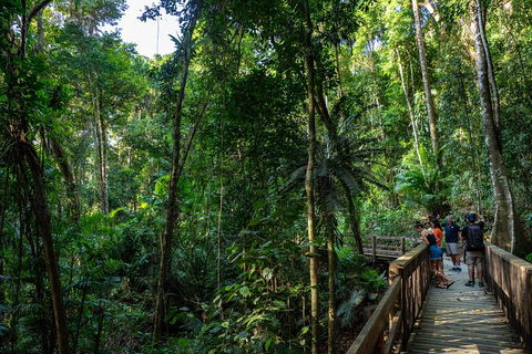 Full Day Daintree Rainforest And Mossman Gorge Tour - Restaurant Darwin 5