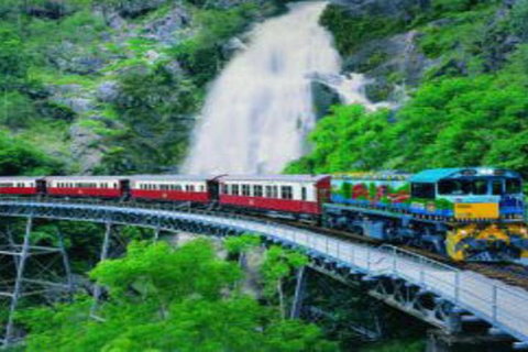 Cairns ATV Adventure Tour And Morning Train - Restaurant Darwin 4