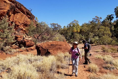 Palm Valley And Hermannsburg 1 Day 4WD Tour - Restaurant Darwin 1