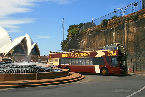 Big Bus Sydney And Bondi Hop-on Hop-off Tour - Restaurant Darwin 3