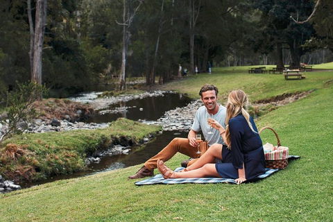 Mt Tamborine - Hinterland Wonders Self Guided - Restaurant Darwin 0