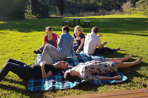 Mt Tamborine - Hinterland Wonders Self Guided - Restaurant Darwin 2