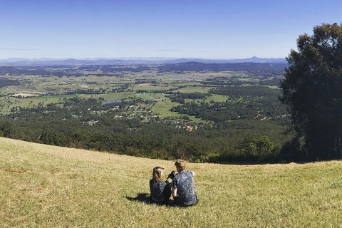 Mt Tamborine - Hinterland Wonders Self Guided - Restaurant Darwin 4