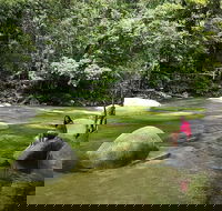 Daintree Dreaming Traditional Aboriginal Fishing from Cairns or Port Douglas - Restaurant Darwin