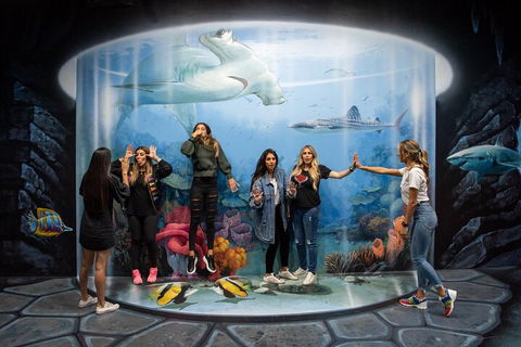 ArtVo Immersive Gallery Experience - Restaurant Darwin 2