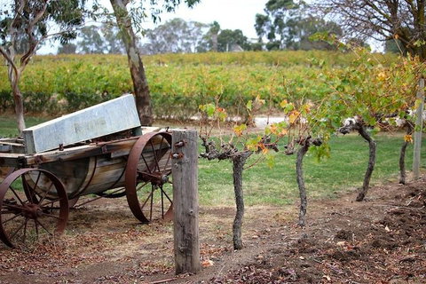 Maggie Beer Farm - Barossa Valley Regional Tour - Restaurant Darwin 1