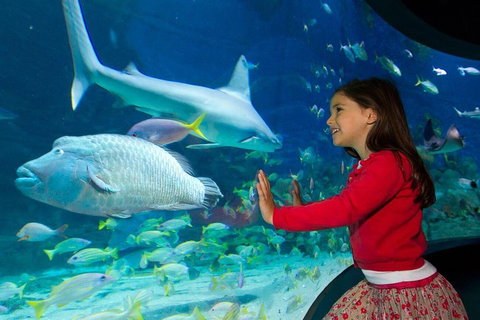 SEA LIFE Melbourne Aquarium Admission Ticket - Restaurant Darwin 1
