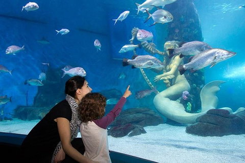 SEA LIFE Melbourne Aquarium Admission Ticket - Restaurant Darwin 4